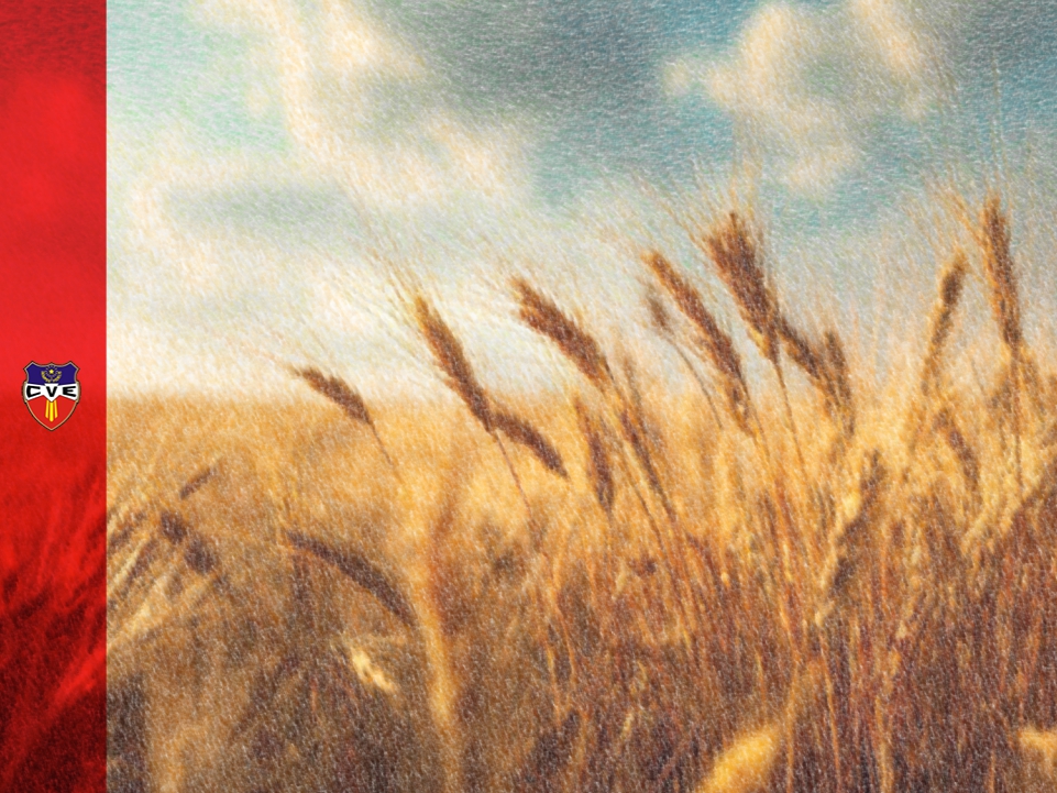 Verbo Encarnado, Colegio, Rosario, Santa Fe