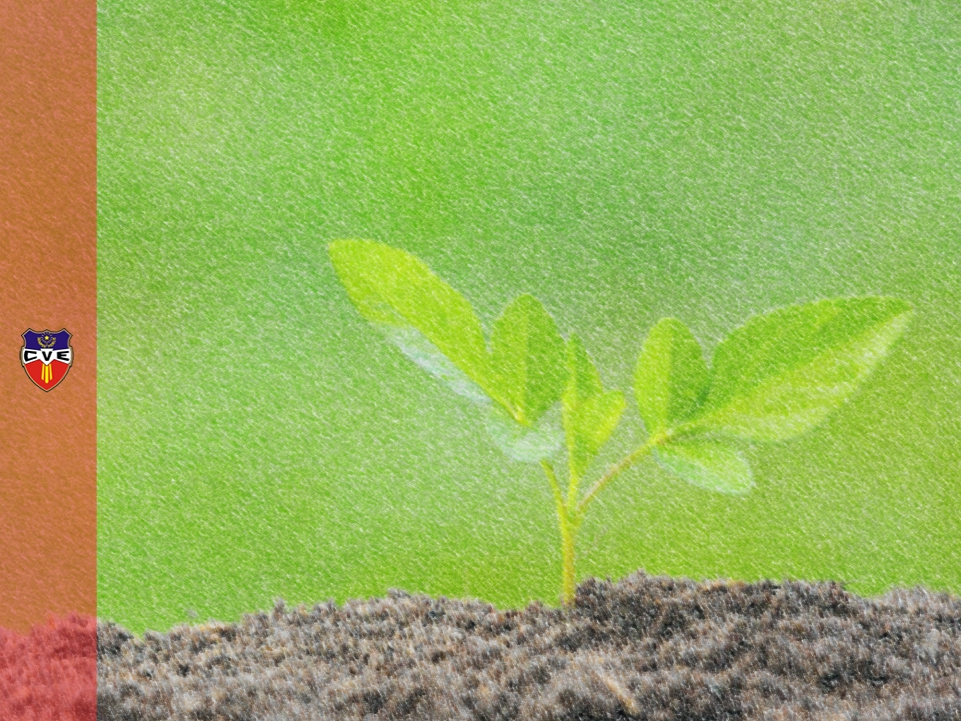 Verbo Encarnado, Colegio, Rosario, Santa Fe